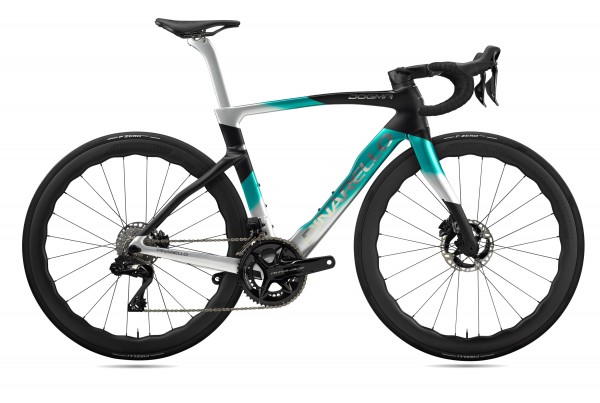 Pinarello DOGMA F (2024) DuraAce Di2 2x12 Powermeter Princeton 4550 (E124 - nebula green silver)